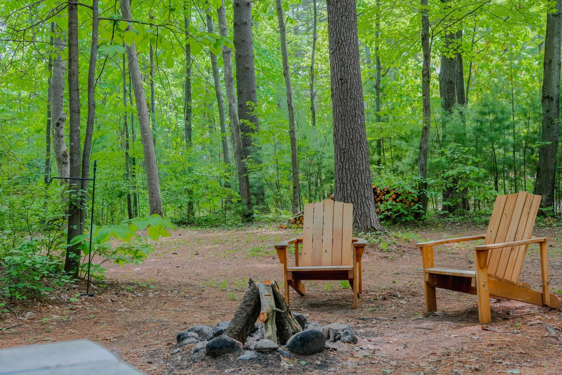 A fire pit in the middle of a forest.