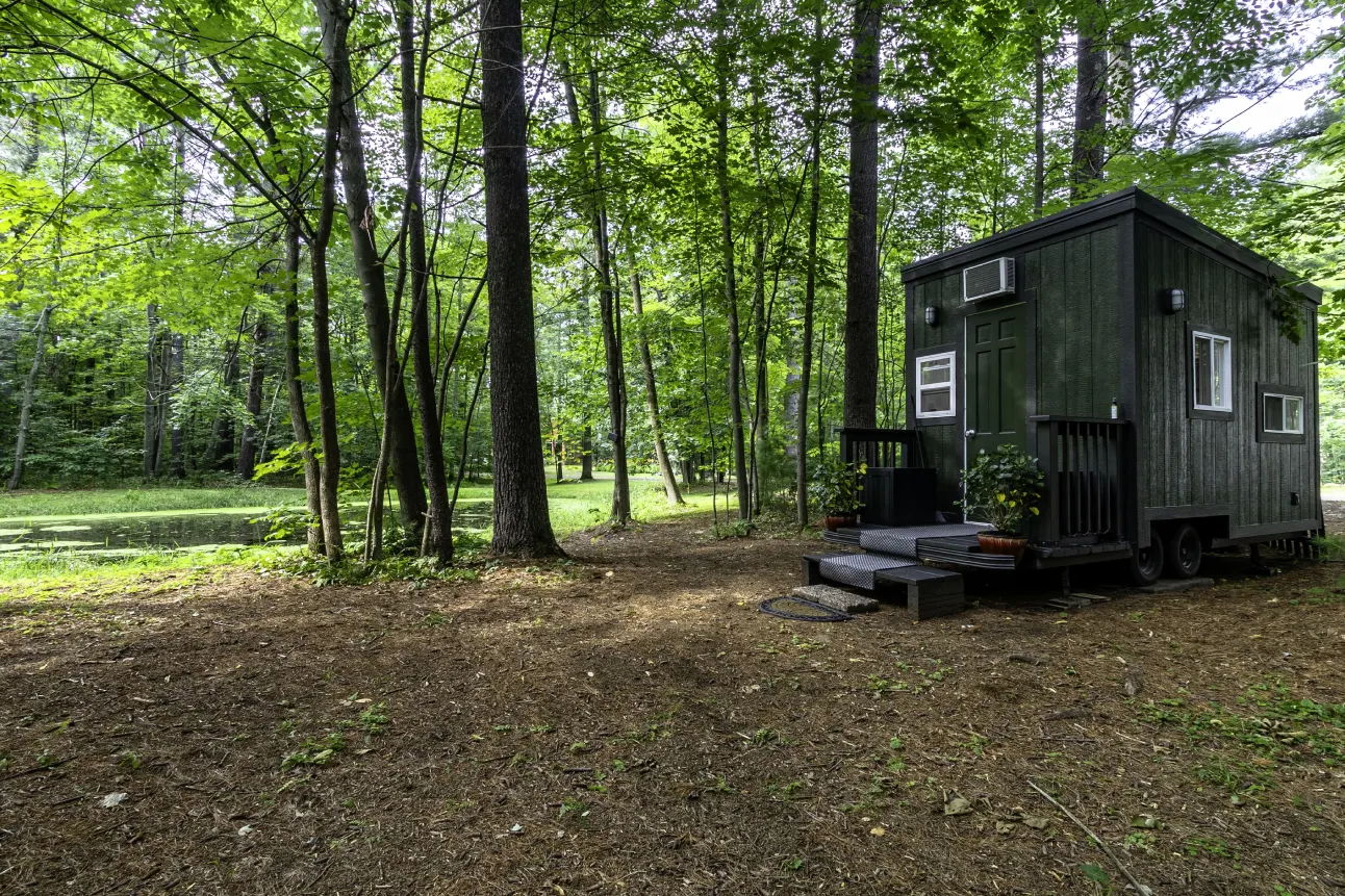 A small green house in the middle of a forest.