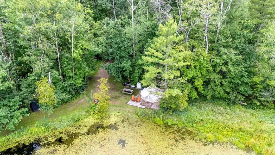 A view of trees from above, with a picnic area.