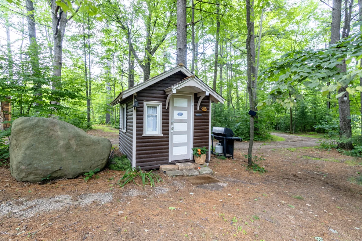 A small cabin in the woods with a grill.