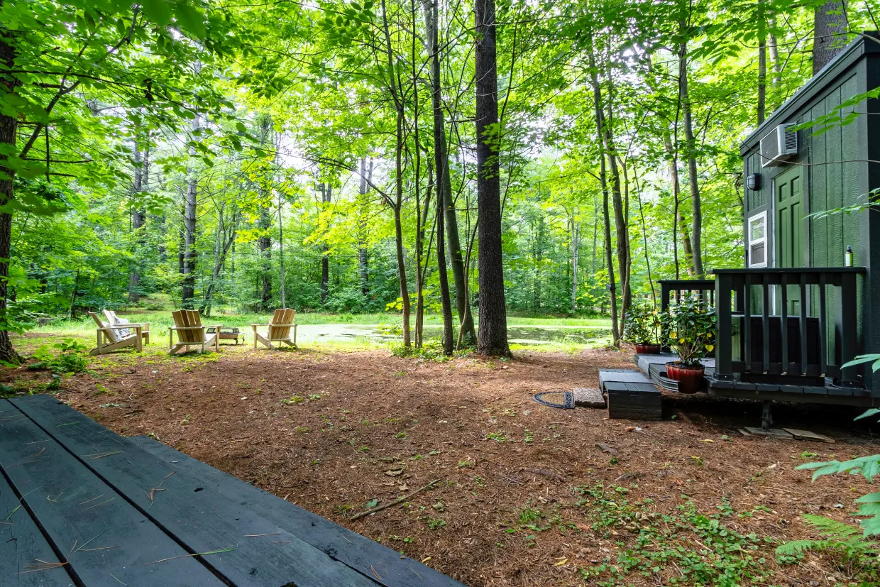 A wooden deck in the middle of a forest.