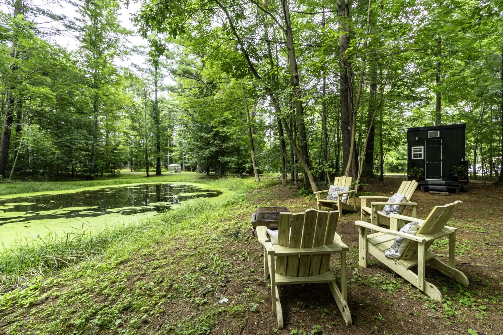 A group of chairs sitting in the grass near trees.